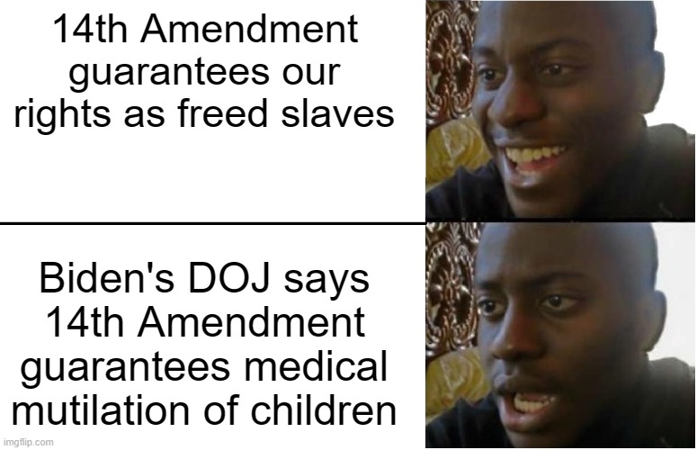 Disappointed Black Guy | 14th Amendment guarantees our rights as freed slaves; Biden's DOJ says 14th Amendment guarantees medical mutilation of children | image tagged in disappointed black guy | made w/ Imgflip meme maker
