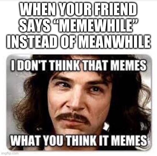 I Don’t Think That Memes What You Think It Memes Meme | WHEN YOUR FRIEND SAYS “MEMEWHILE” INSTEAD OF MEANWHILE | image tagged in i don t think that memes what you think it memes meme | made w/ Imgflip meme maker