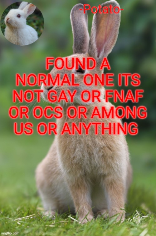 yay | FOUND A NORMAL ONE ITS NOT GAY OR FNAF OR OCS OR AMONG US OR ANYTHING | made w/ Imgflip meme maker