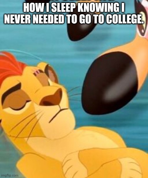 We don't have to... | HOW I SLEEP KNOWING I NEVER NEEDED TO GO TO COLLEGE. | image tagged in kion,the lion guard,disney junior | made w/ Imgflip meme maker