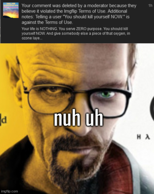 image tagged in breaking bad / half life 2 nuh uh | made w/ Imgflip meme maker