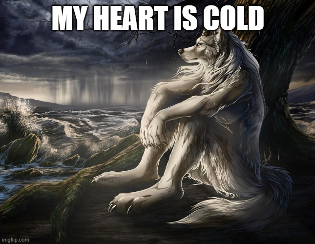 my move are bold | MY HEART IS COLD | image tagged in sitting wolf | made w/ Imgflip meme maker