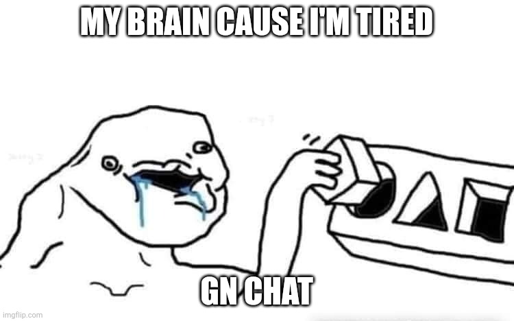 Stupid dumb drooling puzzle | MY BRAIN CAUSE I'M TIRED; GN CHAT | image tagged in stupid dumb drooling puzzle | made w/ Imgflip meme maker