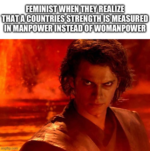 You Underestimate My Power | FEMINIST WHEN THEY REALIZE THAT A COUNTRIES STRENGTH IS MEASURED IN MANPOWER INSTEAD OF WOMANPOWER | image tagged in memes,you underestimate my power | made w/ Imgflip meme maker