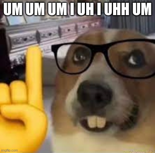 nerd dog | UM UM UM I UH I UHH UM | image tagged in nerd dog | made w/ Imgflip meme maker