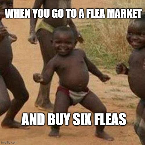 Third World Success Kid | WHEN YOU GO TO A FLEA MARKET; AND BUY SIX FLEAS | image tagged in memes,third world success kid | made w/ Imgflip meme maker