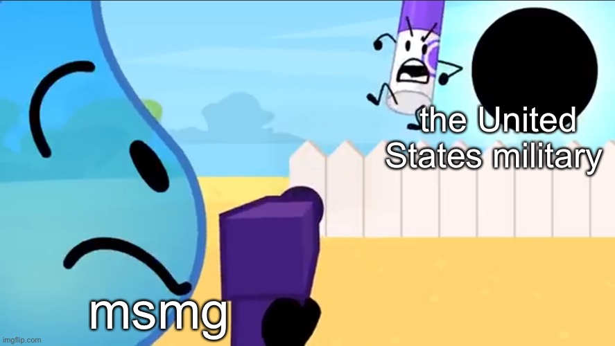 true dat | the United States military; msmg | image tagged in bfdi tpot 2 meme template | made w/ Imgflip meme maker