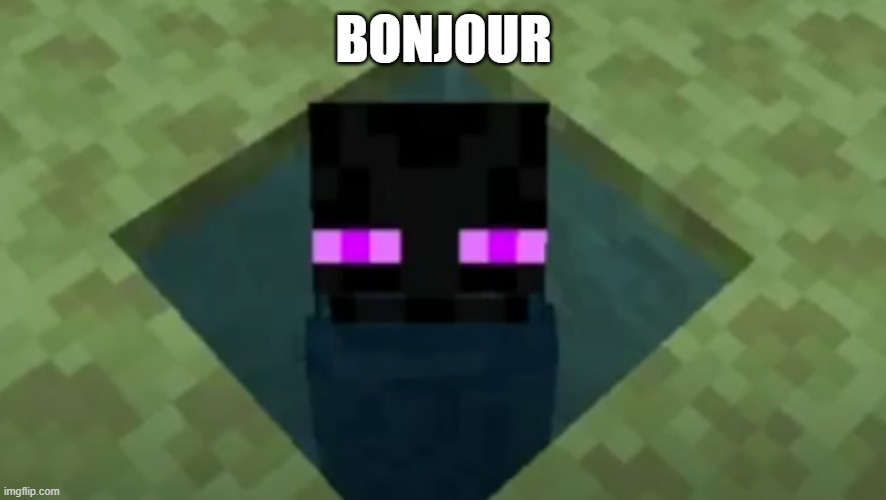 BONJOUR | image tagged in minecraft memes,minecraft | made w/ Imgflip meme maker