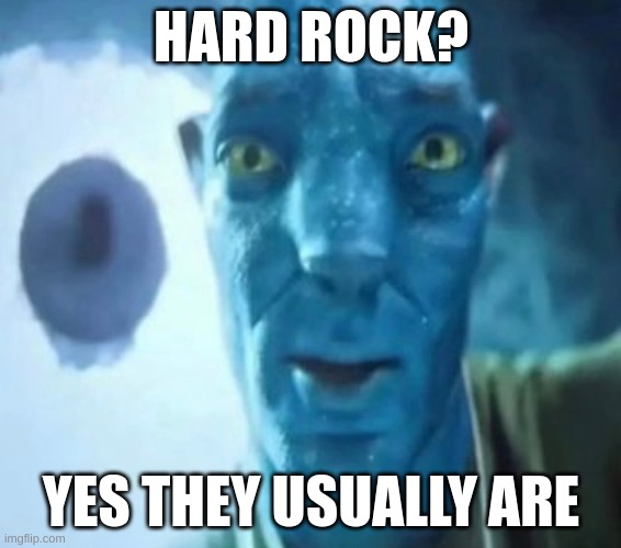 Avatar guy | HARD ROCK? YES THEY USUALLY ARE | image tagged in avatar guy | made w/ Imgflip meme maker