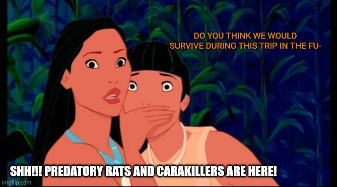 pocahontas | DO YOU THINK WE WOULD SURVIVE DURING THIS TRIP IN THE FU-; SHH!!! PREDATORY RATS AND CARAKILLERS ARE HERE! | image tagged in pocahontas | made w/ Imgflip meme maker