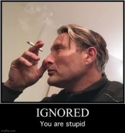 ignored you are stupid | image tagged in ignored you are stupid | made w/ Imgflip meme maker