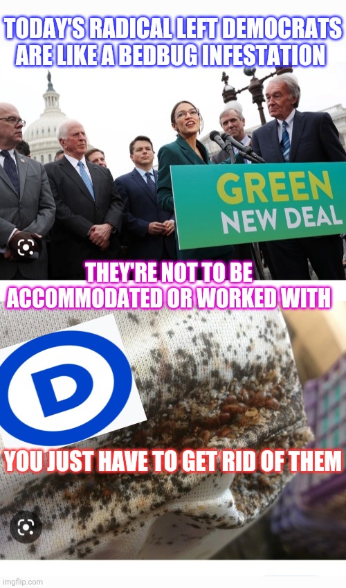They're SO Gross! | TODAY'S RADICAL LEFT DEMOCRATS ARE LIKE A BEDBUG INFESTATION; THEY'RE NOT TO BE ACCOMMODATED OR WORKED WITH; YOU JUST HAVE TO GET RID OF THEM | image tagged in libtard,democrats,you're fired,vote,republican,vote trump | made w/ Imgflip meme maker