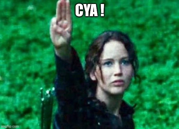 Katniss salute | CYA ! | image tagged in katniss salute | made w/ Imgflip meme maker