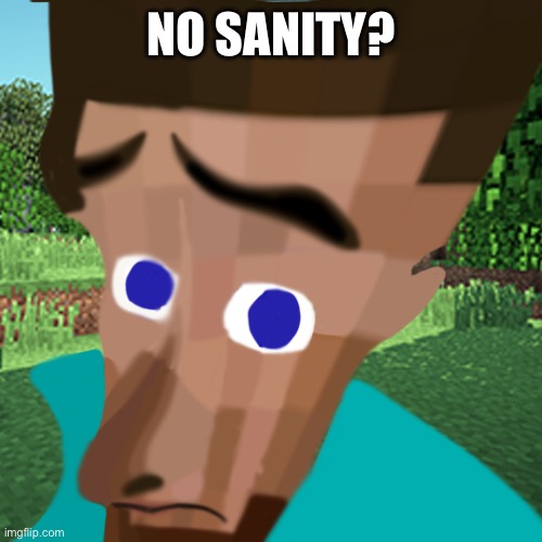 What even is this | NO SANITY? | image tagged in no bitches | made w/ Imgflip meme maker