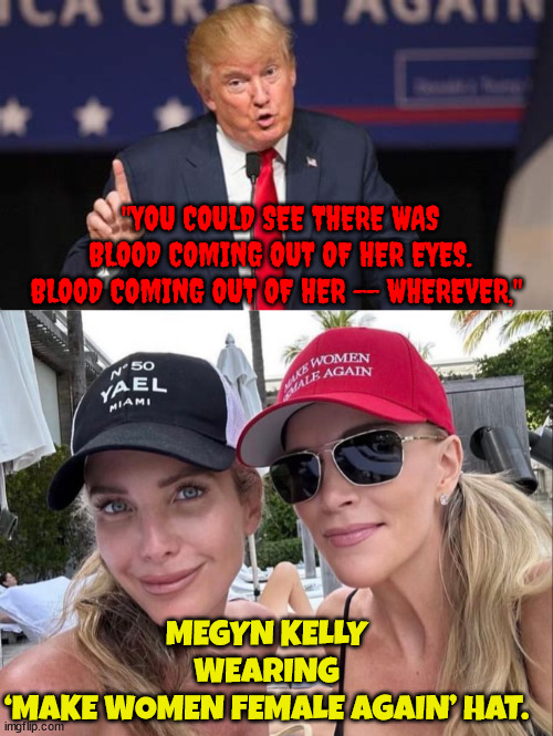 Bloody sheep | "YOU COULD SEE THERE WAS BLOOD COMING OUT OF HER EYES. BLOOD COMING OUT OF HER -- WHEREVER,"; MEGYN KELLY WEARING ‘MAKE WOMEN FEMALE AGAIN’ HAT. | image tagged in facist,hate monger,santa is white,asshat,maga,rubes | made w/ Imgflip meme maker