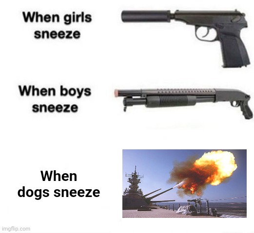 Sneezing dogs | When dogs sneeze | image tagged in when girls sneeze when boys sneeze,dogs,sneeze,dog,sneezing,memes | made w/ Imgflip meme maker