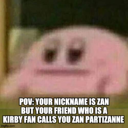 why tho | POV: YOUR NICKNAME IS ZAN BUT YOUR FRIEND WHO IS A KIRBY FAN CALLS YOU ZAN PARTIZANNE | image tagged in emotionaless kirby,memes,kirby | made w/ Imgflip meme maker