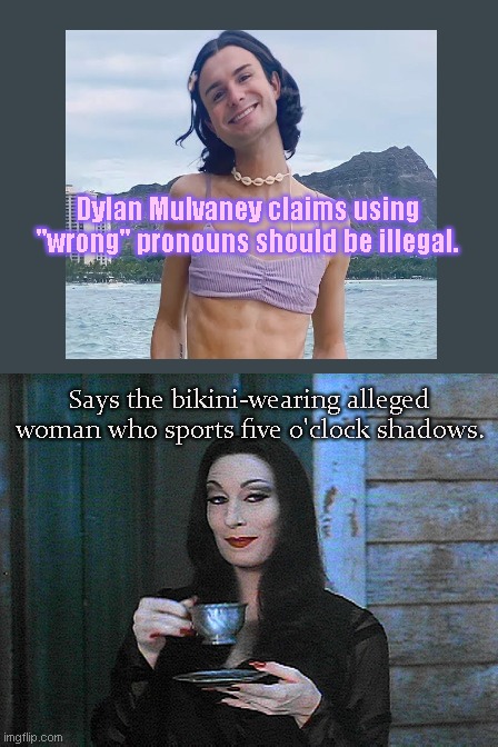 Despite wanting "misgendering" to be a crime, Dylan Mulvaney tends to forget he's supposed to be a woman | Dylan Mulvaney claims using "wrong" pronouns should be illegal. Says the bikini-wearing alleged woman who sports five o'clock shadows. | image tagged in morticia addams,dylan mulvaney,tired of hearing about transgenders,snowflakes,not fooling anyone,political humor | made w/ Imgflip meme maker