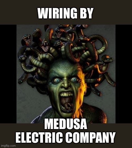 Medusa | WIRING BY MEDUSA ELECTRIC COMPANY | image tagged in medusa | made w/ Imgflip meme maker