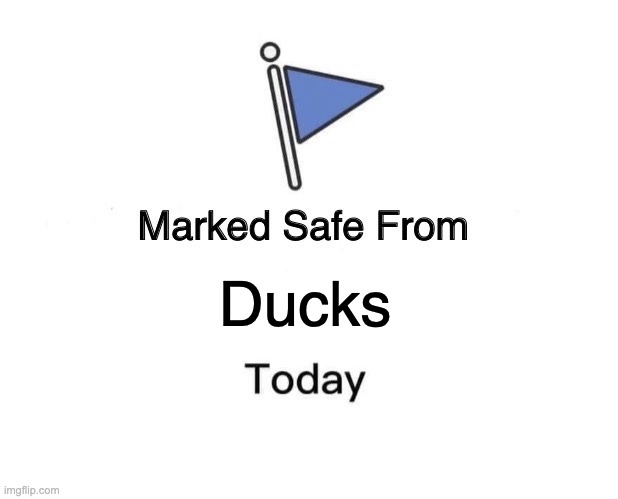 So important | Ducks | image tagged in memes,marked safe from | made w/ Imgflip meme maker