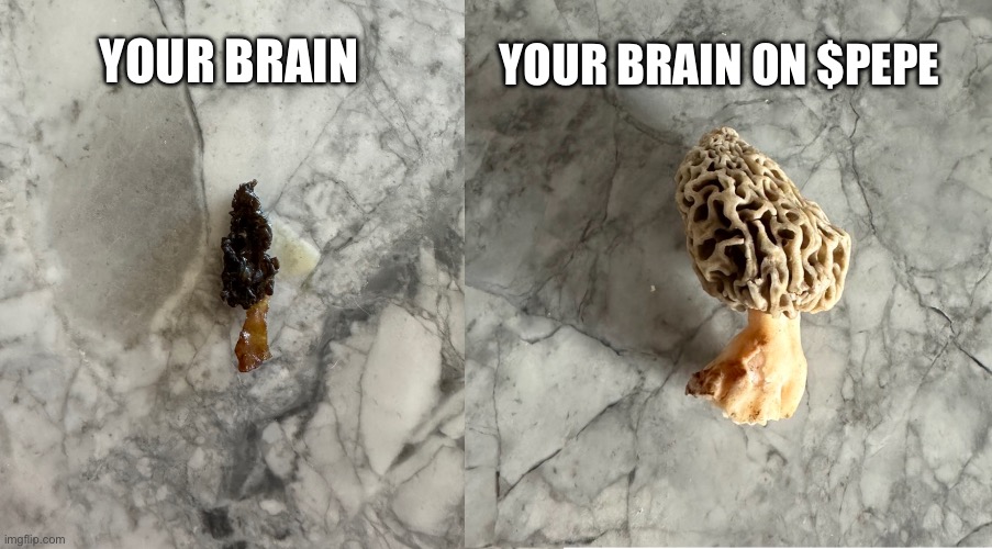 Your Brain Mushroom | YOUR BRAIN ON $PEPE; YOUR BRAIN | image tagged in your brain mushroom | made w/ Imgflip meme maker