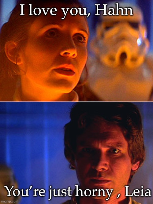 I love you | I love you, Hahn; You’re just horny , Leia | image tagged in leia i love you han i know,han solo,leia,love,horny | made w/ Imgflip meme maker