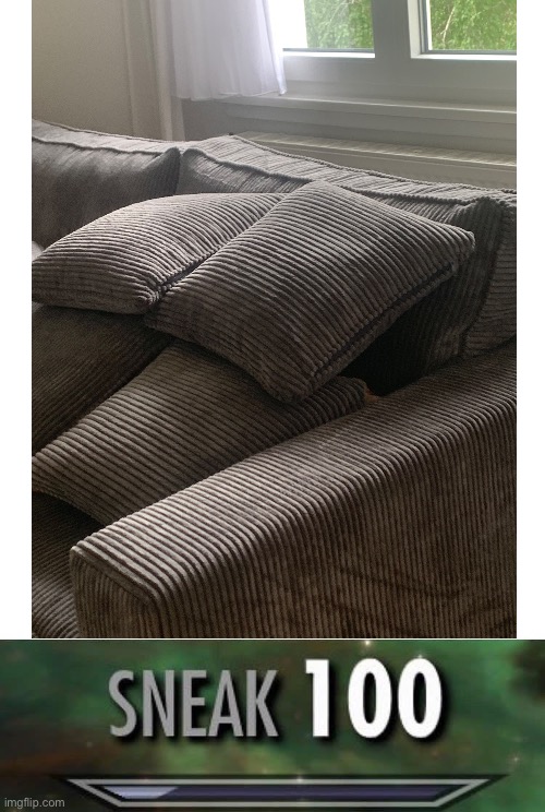 Under the cushions | image tagged in sneak 100 | made w/ Imgflip meme maker