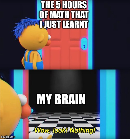 my brain be like | THE 5 HOURS OF MATH THAT I JUST LEARNT; MY BRAIN | image tagged in wow look nothing | made w/ Imgflip meme maker