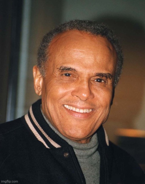 Harry Belafonte | image tagged in harry belafonte,musician,actor,civil rights,progressive,activism | made w/ Imgflip meme maker
