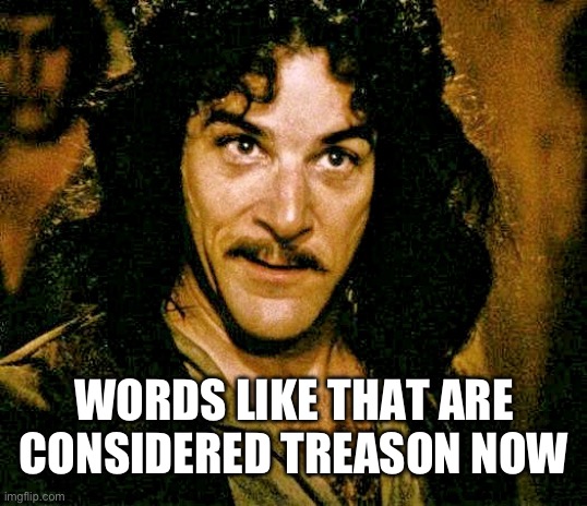 I don't think it means what you think it means | WORDS LIKE THAT ARE CONSIDERED TREASON NOW | image tagged in i don't think it means what you think it means | made w/ Imgflip meme maker