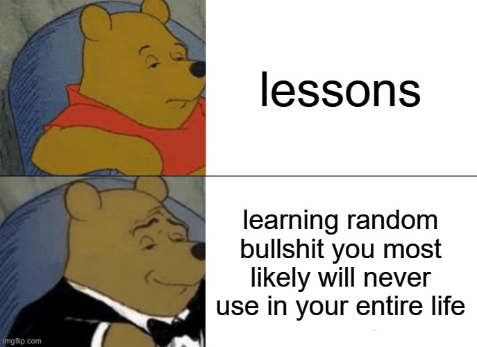 school | lessons; learning random bullshit you most likely will never use in your entire life | image tagged in memes,tuxedo winnie the pooh,school | made w/ Imgflip meme maker