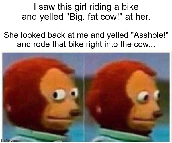 Don´t say I didn´t warn her... | I saw this girl riding a bike and yelled "Big, fat cow!" at her. She looked back at me and yelled "Asshole!" and rode that bike right into the cow... | image tagged in memes,monkey puppet | made w/ Imgflip meme maker