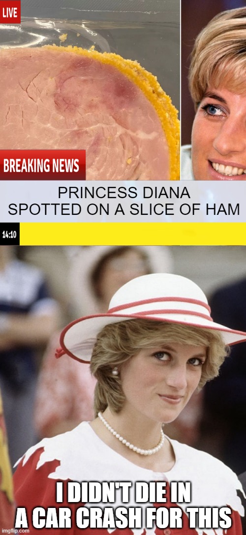 Hammy | PRINCESS DIANA SPOTTED ON A SLICE OF HAM; I DIDN'T DIE IN A CAR CRASH FOR THIS | image tagged in princess diana and charles | made w/ Imgflip meme maker