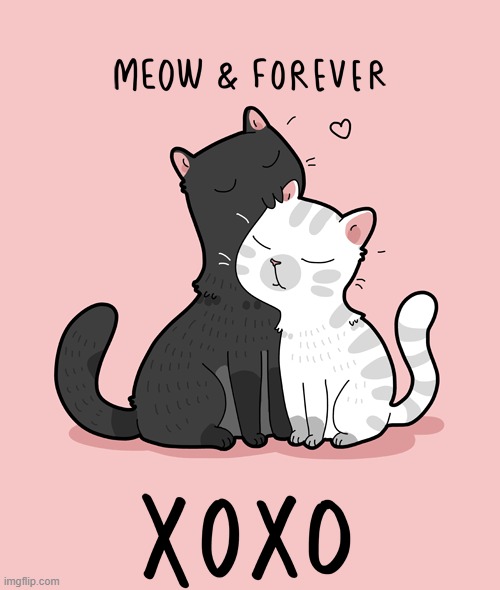 A Cats Way Of Thinking | image tagged in memes,comics/cartoons,cats,kisses,meow,forever | made w/ Imgflip meme maker