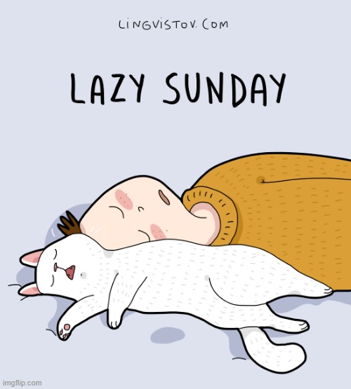 A Cat Guy's Way Of Thinking | image tagged in memes,comics/cartoons,guy,cats,lazy,sunday | made w/ Imgflip meme maker