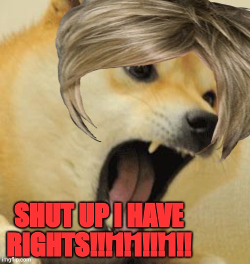 Karens have the right to SHUT THEIR GODDAMN MOUTH | SHUT UP I HAVE RIGHTS!!!1!1!!!1!! | image tagged in karen | made w/ Imgflip meme maker