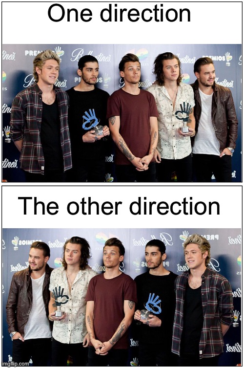 Blank Comic Panel 1x2 | One direction; The other direction | image tagged in memes,blank comic panel 1x2 | made w/ Imgflip meme maker