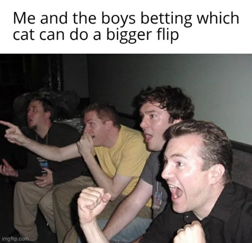 image tagged in memes | made w/ Imgflip meme maker