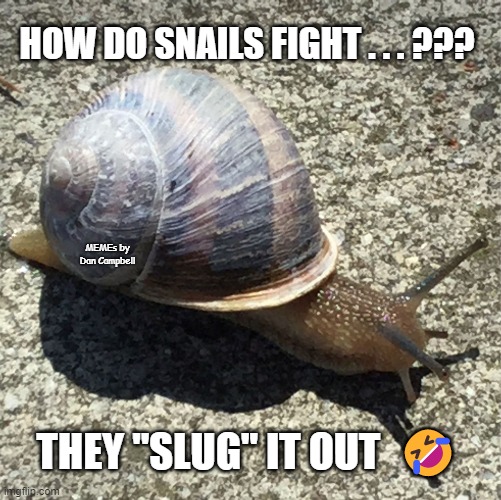 Slow as a snail... | HOW DO SNAILS FIGHT . . . ??? MEMEs by Dan Campbell; THEY "SLUG" IT OUT  🤣 | image tagged in slow as a snail | made w/ Imgflip meme maker