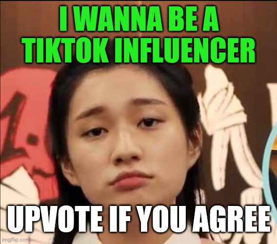 Wannabe influencer | I WANNA BE A TIKTOK INFLUENCER; UPVOTE IF YOU AGREE | image tagged in wannabe influencer | made w/ Imgflip meme maker