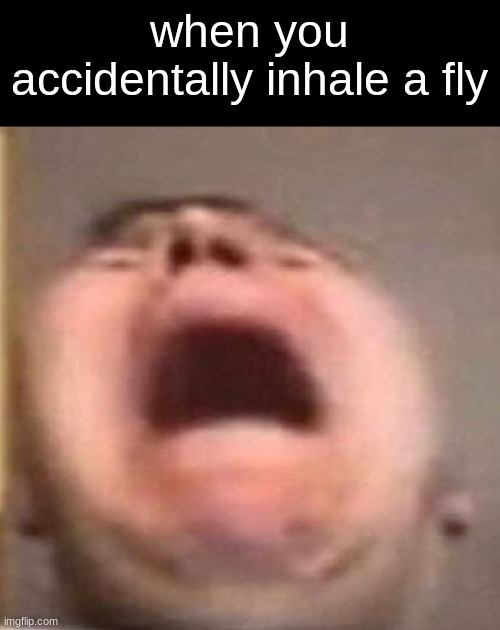 its so annoying but I know what the comments are going to say, "Extra protein!" | when you accidentally inhale a fly | image tagged in flies,are,nasty,to,swallow | made w/ Imgflip meme maker