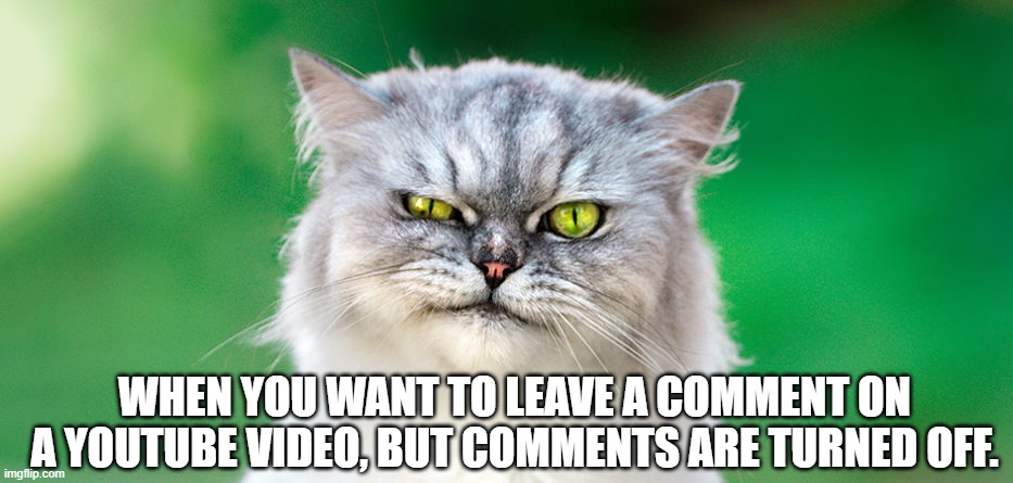 WHEN YOU WANT TO LEAVE A COMMENT ON A YOUTUBE VIDEO, BUT COMMENTS ARE TURNED OFF. | image tagged in distraught cat | made w/ Imgflip meme maker