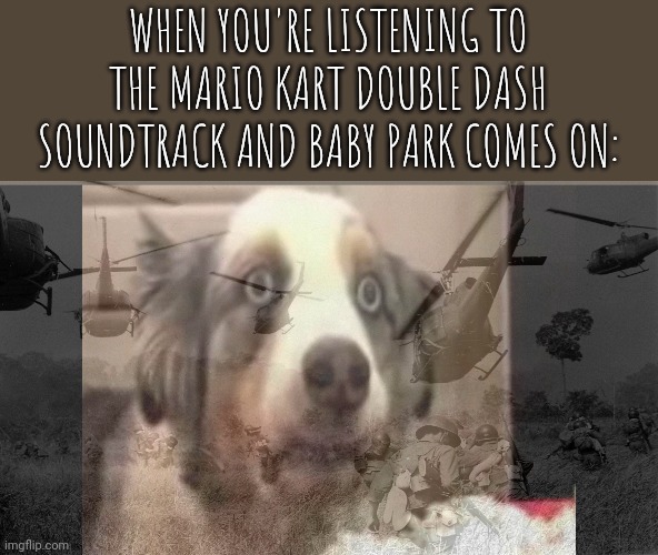So... Many... Bowser... Shells... | WHEN YOU'RE LISTENING TO THE MARIO KART DOUBLE DASH SOUNDTRACK AND BABY PARK COMES ON: | image tagged in vietnam flashback dog,mario kart | made w/ Imgflip meme maker
