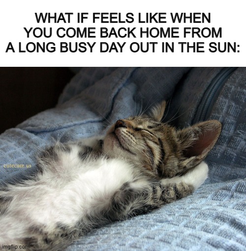 ...Except me, I just play video games after changing my sweaty clothes XD | WHAT IF FEELS LIKE WHEN YOU COME BACK HOME FROM A LONG BUSY DAY OUT IN THE SUN: | image tagged in blank white template,sleeping cat | made w/ Imgflip meme maker