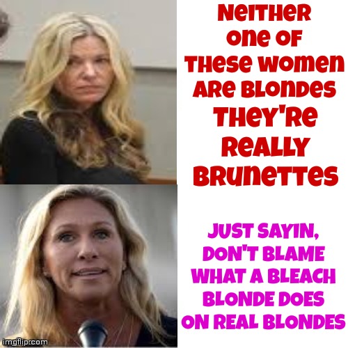 Bleach Blondes Are Not Real Blondes | Neither one of these women are Blondes; They're really brunettes; JUST SAYIN, DON'T BLAME WHAT A BLEACH BLONDE DOES ON REAL BLONDES | image tagged in bleach blonde,fake,brunette,memes,karma's a bitch | made w/ Imgflip meme maker