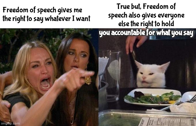 Better Be Sure You Can Take It Before You Dish It Out | Freedom of speech gives me the right to say whatever I want; True but, Freedom of speech also gives everyone else the right to hold you accountable for what you say; you accountable for what you say | image tagged in memes,woman yelling at cat,freedom of speech,civil rights,scumbag republicans,conservative hypocrisy | made w/ Imgflip meme maker