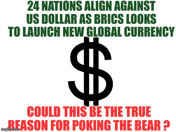 The world's gonna change y'all | 24 NATIONS ALIGN AGAINST US DOLLAR AS BRICS LOOKS TO LAUNCH NEW GLOBAL CURRENCY; COULD THIS BE THE TRUE REASON FOR POKING THE BEAR ? | image tagged in blank white template,ukraine,russia,russo-ukrainian war,money,power | made w/ Imgflip meme maker