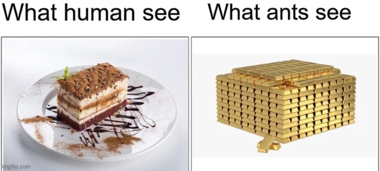 image tagged in memes | made w/ Imgflip meme maker