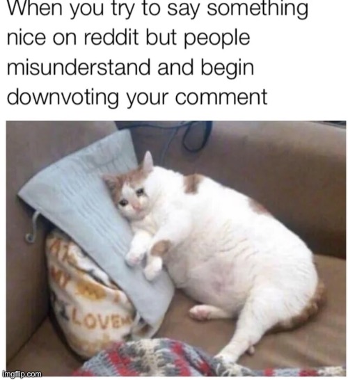 image tagged in memes | made w/ Imgflip meme maker