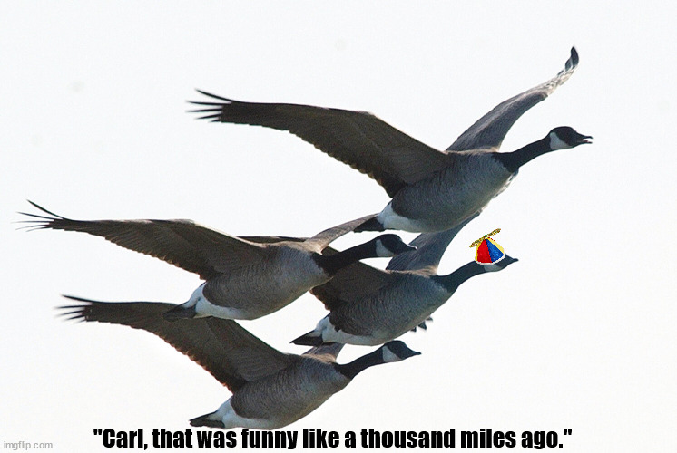 Take a Gander at My Meme About Geese, if You Please | image tagged in geese,goose,migration,flying,funny,memes | made w/ Imgflip meme maker
